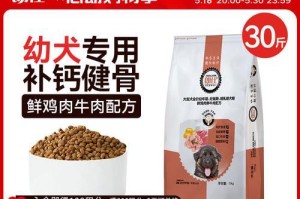 边牧应该吃什么狗粮？（选择合适的狗粮，让边牧更健康）