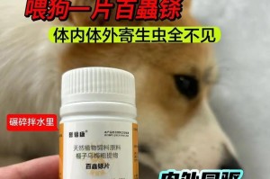 狗虫驱治用药一览（选择正确药物，保护宠物健康）