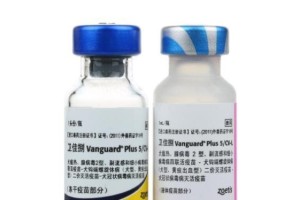 狗狗接种疫苗后的体内反应时间及常见症状