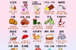 狗狗发烧时应该吃哪些食物？（为你的宠物提供适当的饮食，帮助其康复！）