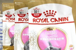 以英短猫吃什么猫粮为主题的饲养指南（选择适合英短猫的营养均衡猫粮，健康育成）