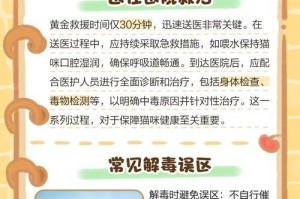 猫咪中毒（毒物性质与猫咪个体差异会影响死亡速度）