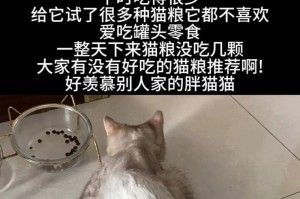 猫咪的最爱（揭秘猫咪心头好，让你的猫宝贝开心满足的食物选择）