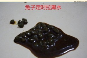 兔子拉完什么是健康？（以兔子的排泄物为指标，了解宠物兔子的健康状况）