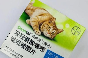 以猫体外驱虫用哪些药？（选择合适的驱虫药品保护你的猫咪健康）