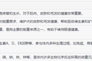 以什么水泡狗粮才更好？（正确的泡狗粮方法与注意事项）