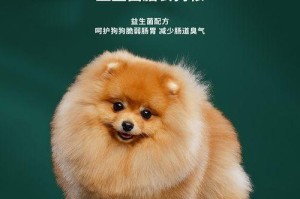 告别脆弱的胃，享受健康生活（探索博美胃健康的秘密，重拾美好生活）