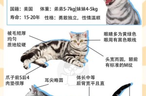 纯白龙猫的饲养方法（打造舒适的家庭环境，享受可爱小宠物的陪伴）