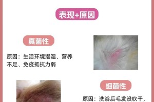 夏天为什么会导致狗皮肤病严重化？（狗皮肤病与夏季气候的关系及应对措施）