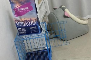 选择适合博美的狗粮，让它健康成长（了解博美狗狗的特点与需要，选择合适的狗粮）