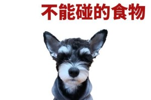 小型雪纳瑞犬的饮食需求（了解小型雪纳瑞犬的饮食习惯与营养需求）