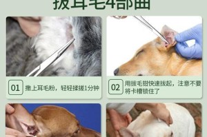如何正确拔取狗耳毛？（拔取狗耳毛的注意事项与步骤）