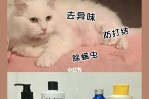 如何为宠物猫选择合适的沐浴露？（以干净的猫咪为目标，让它的皮肤更健康）