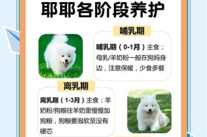 萨摩耶的经期周期及特点（萨摩耶的经期长短与其他犬种的区别）