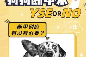 狗为何常常断甲？（探究狗爪断甲的原因及预防方法）