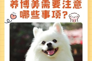 宠物狗的生活需要与养护知识（如何给宠物狗提供一个健康、幸福的生活环境）