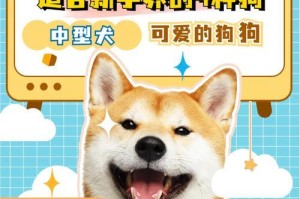 中型成犬的洗澡频率与注意事项（保持中型成犬清洁与舒适的关键）