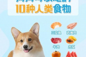 狗吃鱼的营养价值（探索狗吃鱼的好处与关键营养素）