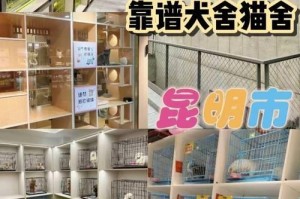 西安全国连锁宠物店汇总（探索西安市内的全国连锁宠物店，发现宠物世界的多彩之处）