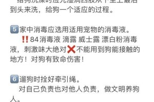 狗妈妈生产后的照顾指南（为你的爱犬提供最佳的产后护理）