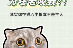 猫为什么咬人脖子？（探究猫咬人脖子的原因以及如何处理）