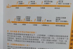 小猫疫苗接种时间详解（了解小猫疫苗接种时间表和关键细节）