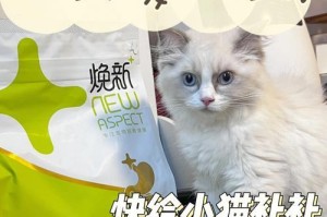 小猫不吃猫粮怎么办？（宠物饲养新手必看，教你如何让小猫吃猫粮）