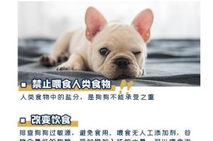 狗狗的盐摄入量（狗狗吃太咸的后果及如何控制盐的摄入量）