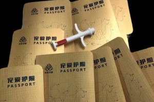 以马犬血统证书的重要性与用途（探索驯养犬类血统的必要手段与价值）