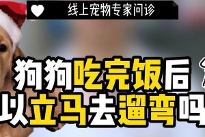 狗饭后多久能吃药？探讨最佳药物饮食时间（宠物药物管理的关键）