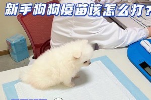 宠物狗的疫苗接种指南（保护你的狗狗免受疾病侵害的关键）