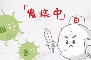 龙猫抗生素的类型和使用方法（探索适用于龙猫的抗生素种类及正确使用方法）