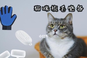 如何帮助猫咪保持干净卫生？（一份详细的猫咪日常护理指南）