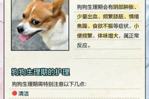 母狗流血期持续时间及相关注意事项（了解母狗流血期的关键信息和照顾方式）