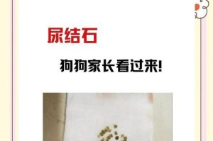 狗长结石的症状及预防措施（了解狗石结的常见症状，保护你的爱宠健康）