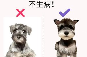 胰腺炎犬的护理指南（胰腺炎犬的饮食与生活注意事项）