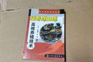 黄金螺饲养方法详解（打造美丽水景家庭养殖轻松上手）