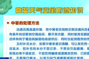 宠物银狐犬中暑怎么办？（应对高温天气，关爱宠物健康）