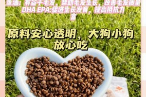 泰迪的饮食需求及喂养注意事项（了解泰迪的饮食要求，给它们最佳的喂养体验）