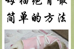 猫咪绝育后的恢复时间及注意事项（了解猫咪绝育手术后愈合过程，宠物健康管理更得力）