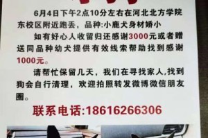 探索狗的世界（从这些网站了解狗的品种、训练、健康与饮食等方面知识）
