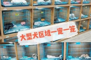 如何选择适合自己预算的小型宠物狗（比较十种常见小型宠物狗的价格和适应性）