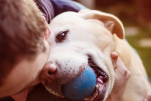 如何建立幼犬信任？（探索宠物与主人互动的黄金法则）