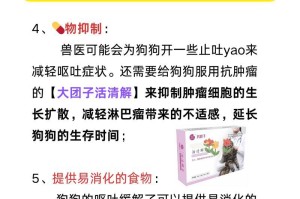 幼犬呕吐怎么办？（饮食调整是关键）