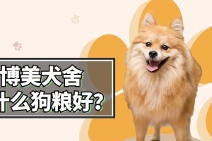 如何合理喂养博美犬（博美幼犬的狗粮摄入量及喂养要点）