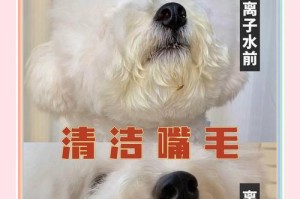 比熊毛发的变化及硬化过程（探讨比熊毛发的生长周期和硬化特点）
