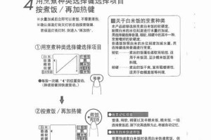 如何饲养健康活泼的阿根廷象龟？（以宠物为主，详解饲养技巧）