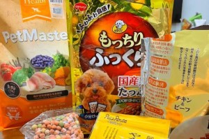 狗肠胃不好怎么办（狗肠胃药物及饮食调理方法大揭秘）