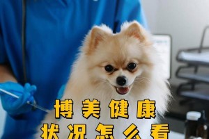 治疗狗嘴溃烂的药物及注意事项（选择合适的药物和正确护理是关键）