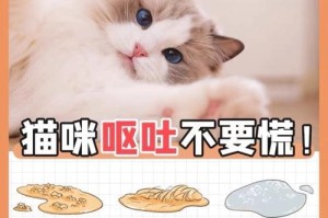 猫咪呕吐黄水，建议及时就医（千万别耽误，保护它们健康）